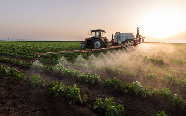 Best Mosquito Control Services  in Beulaville, NC